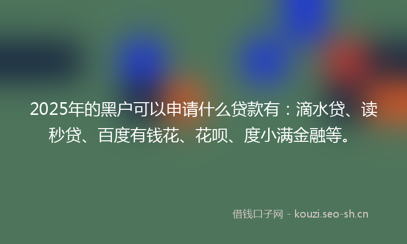 2025年的黑户可以申请什么贷款有：滴水贷、读秒贷、百度有钱花、花呗、度小满金融等。