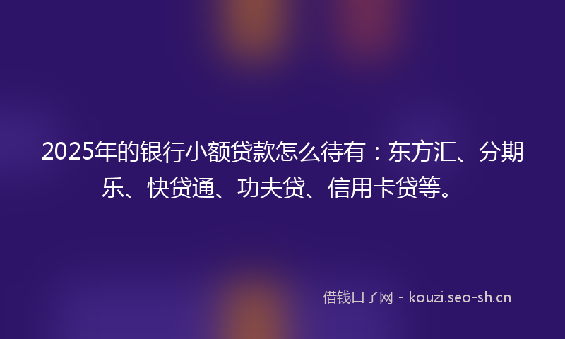 2025年的银行小额贷款怎么待有：东方汇、分期乐、快贷通、功夫贷、信用卡贷等。