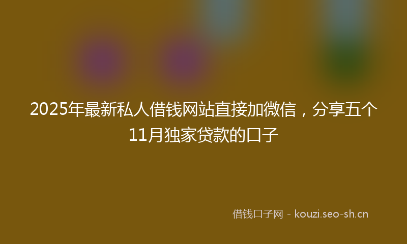 2025年最新私人借钱网站直接加微信，分享五个11月独家贷款的口子