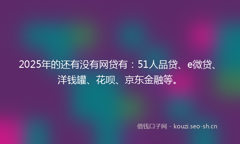 2025年的还有没有网贷有：51人品贷、e微贷、洋钱罐、花呗、京东金融等。