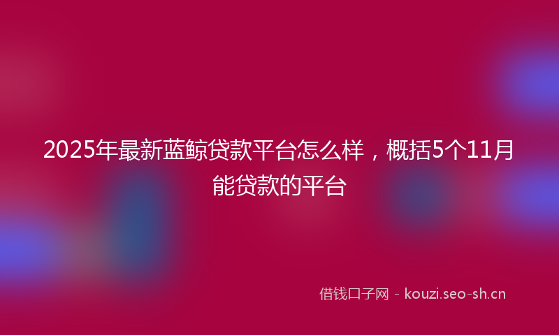2025年最新蓝鲸贷款平台怎么样，概括5个11月能贷款的平台