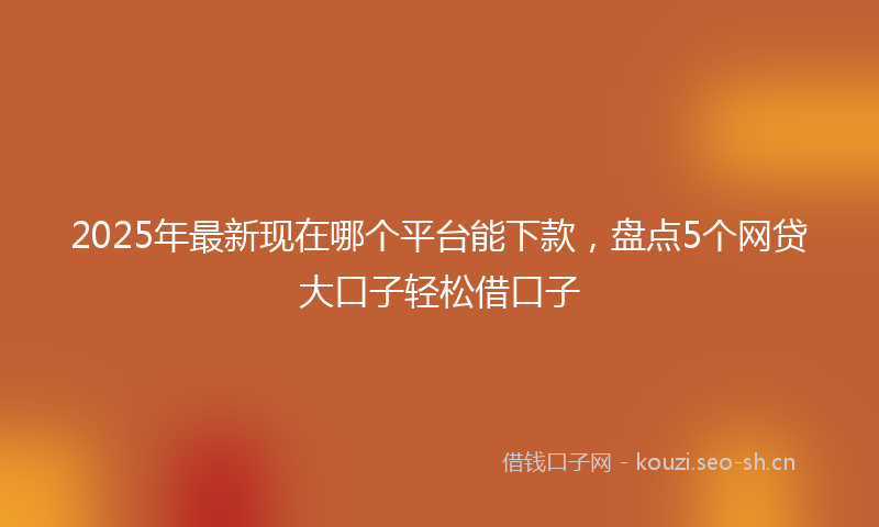 2025年最新现在哪个平台能下款，盘点5个网贷大口子轻松借口子
