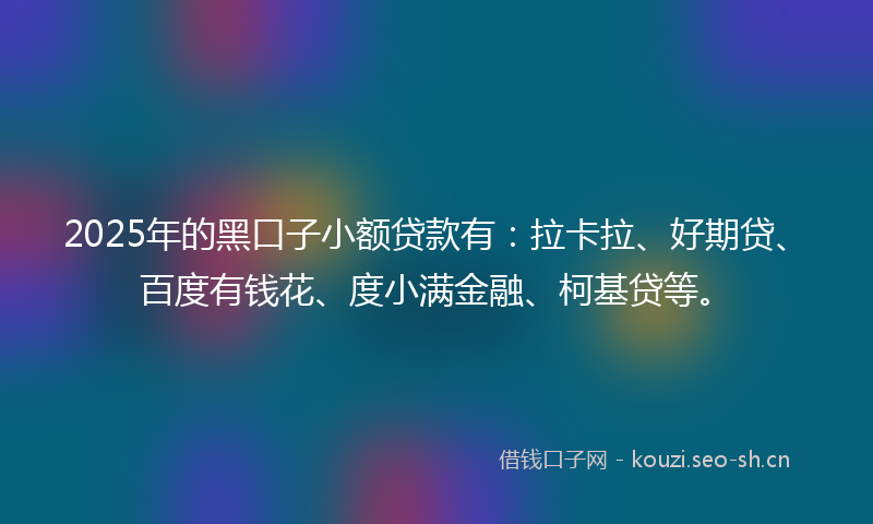 2025年的黑口子小额贷款有：拉卡拉、好期贷、百度有钱花、度小满金融、柯基贷等。