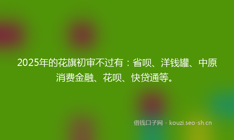 2025年的花旗初审不过有：省呗、洋钱罐、中原消费金融、花呗、快贷通等。
