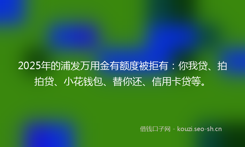 2025年的浦发万用金有额度被拒有：你我贷、拍拍贷、小花钱包、替你还、信用卡贷等。