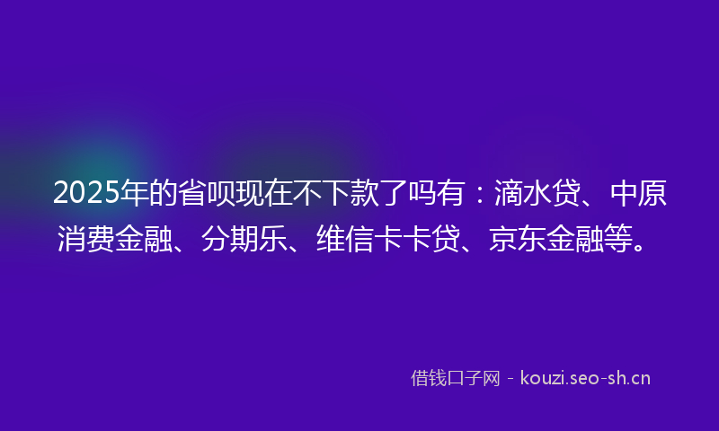 2025年的省呗现在不下款了吗有：滴水贷、中原消费金融、分期乐、维信卡卡贷、京东金融等。