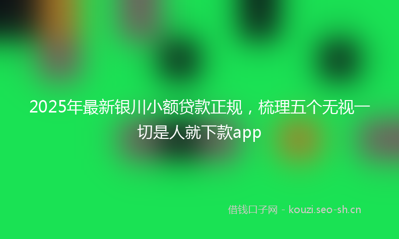 2025年最新银川小额贷款正规，梳理五个无视一切是人就下款app