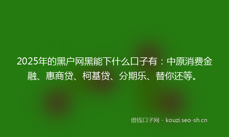 2025年的黑户网黑能下什么口子有：中原消费金融、惠商贷、柯基贷、分期乐、替你还等。