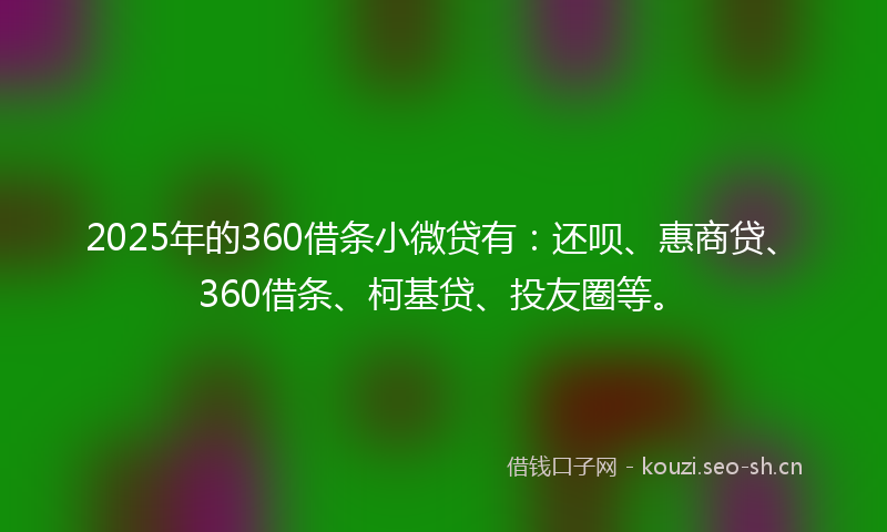 2025年的360借条小微贷有：还呗、惠商贷、360借条、柯基贷、投友圈等。