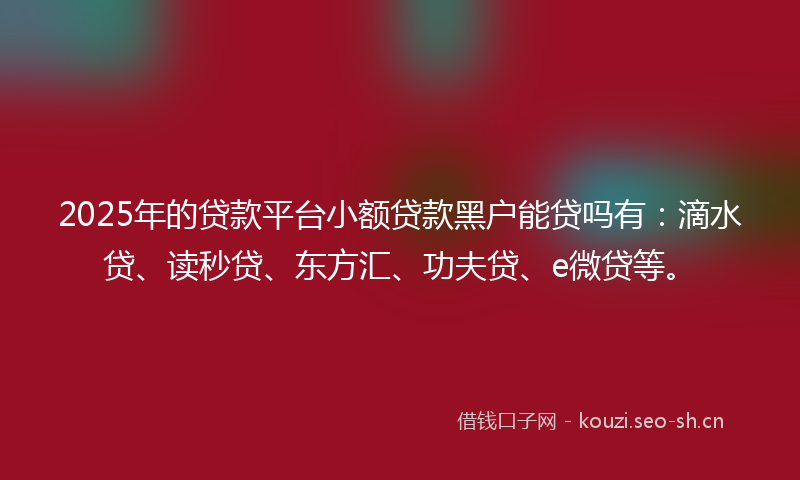 2025年的贷款平台小额贷款黑户能贷吗有：滴水贷、读秒贷、东方汇、功夫贷、e微贷等。