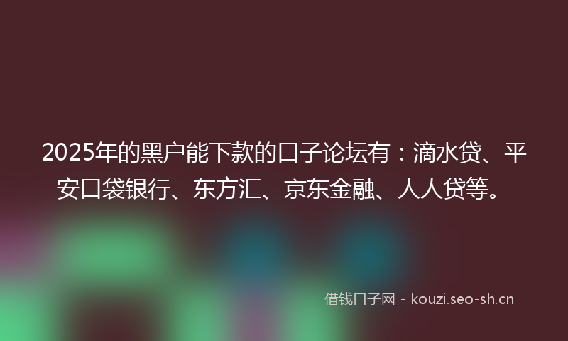 2025年的黑户能下款的口子论坛有：滴水贷、平安口袋银行、东方汇、京东金融、人人贷等。