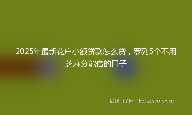 2025年最新花户小额贷款怎么贷，罗列5个不用芝麻分能借的口子