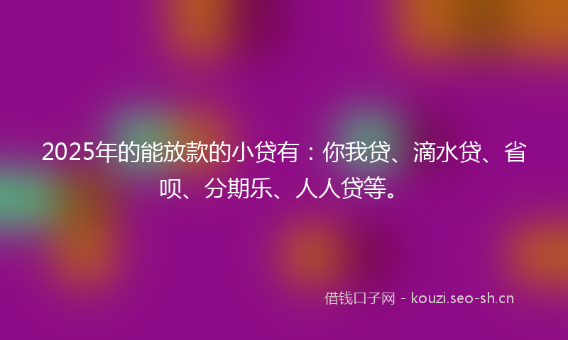 2025年的能放款的小贷有：你我贷、滴水贷、省呗、分期乐、人人贷等。