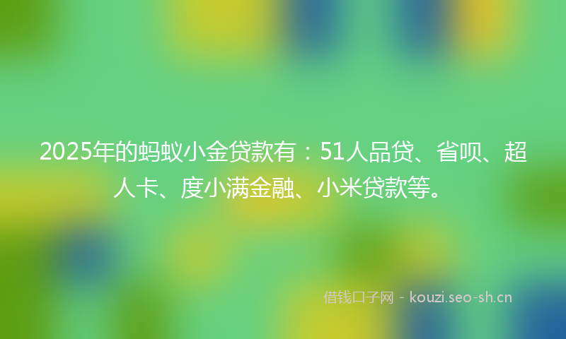 2025年的蚂蚁小金贷款有：51人品贷、省呗、超人卡、度小满金融、小米贷款等。