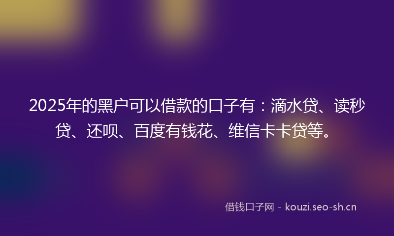 2025年的黑户可以借款的口子有：滴水贷、读秒贷、还呗、百度有钱花、维信卡卡贷等。