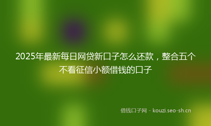 2025年最新每日网贷新口子怎么还款，整合五个不看征信小额借钱的口子