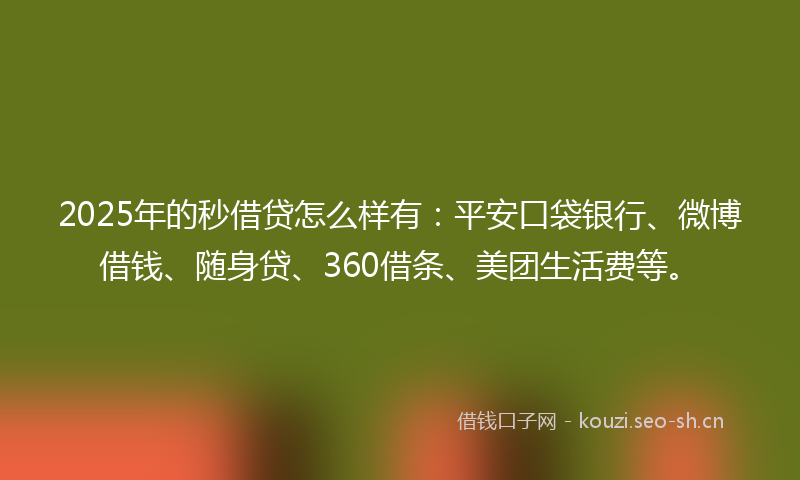 2025年的秒借贷怎么样有：平安口袋银行、微博借钱、随身贷、360借条、美团生活费等。