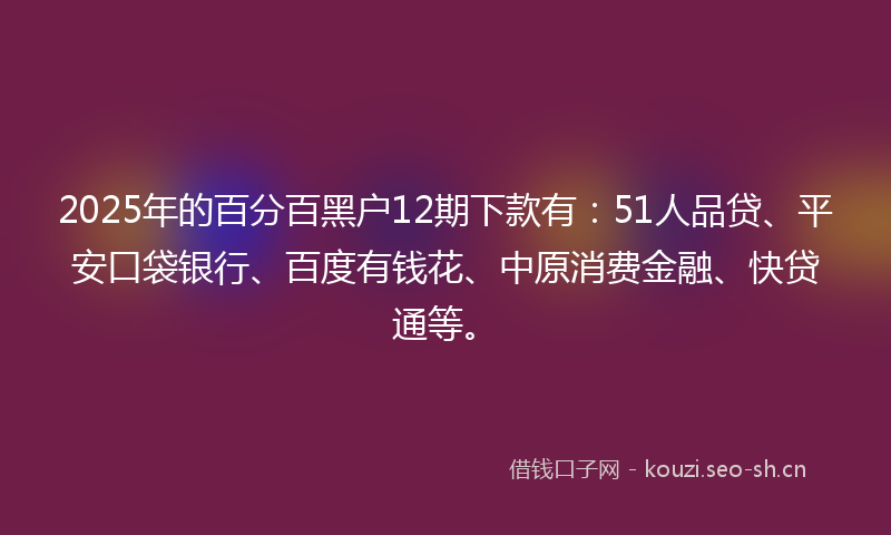 2025年的百分百黑户12期下款有：51人品贷、平安口袋银行、百度有钱花、中原消费金融、快贷通等。