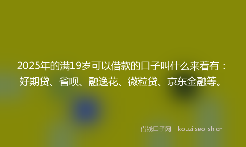 2025年的满19岁可以借款的口子叫什么来着有：好期贷、省呗、融逸花、微粒贷、京东金融等。