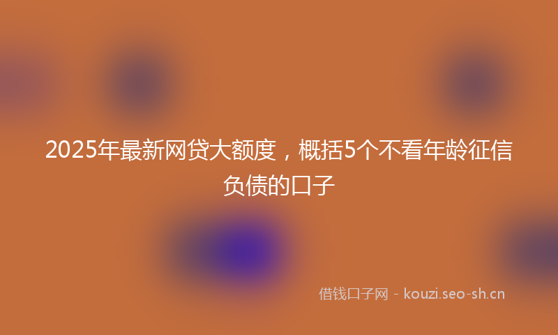 2025年最新网贷大额度，概括5个不看年龄征信负债的口子