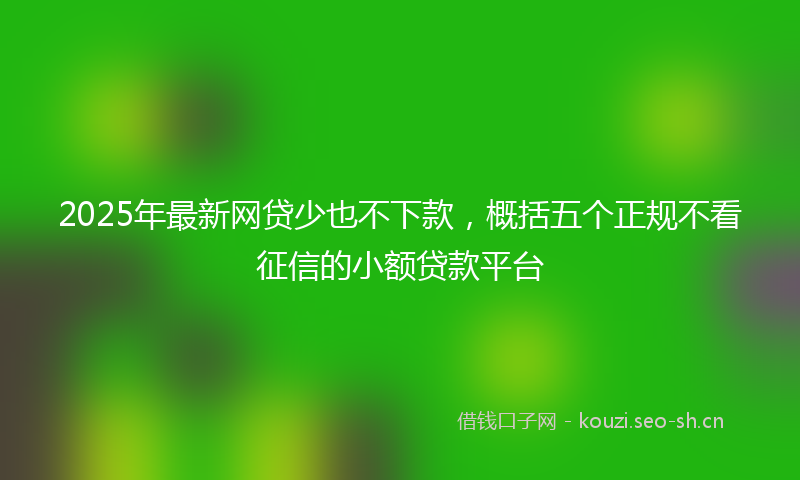 2025年最新网贷少也不下款，概括五个正规不看征信的小额贷款平台