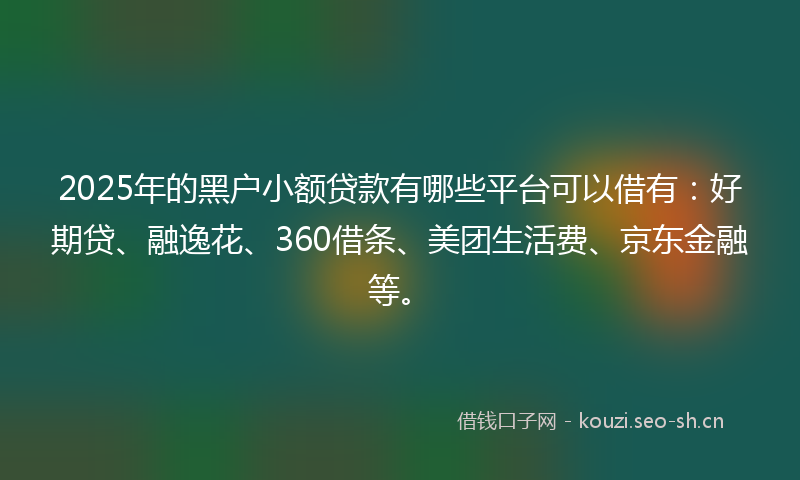 2025年的黑户小额贷款有哪些平台可以借有：好期贷、融逸花、360借条、美团生活费、京东金融等。