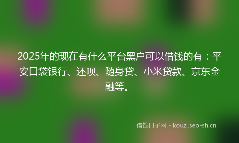 2025年的现在有什么平台黑户可以借钱的有：平安口袋银行、还呗、随身贷、小米贷款、京东金融等。