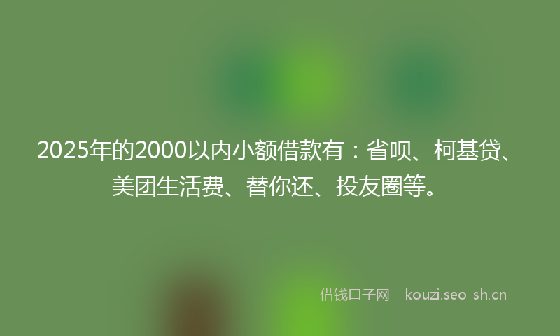 2025年的2000以内小额借款有：省呗、柯基贷、美团生活费、替你还、投友圈等。