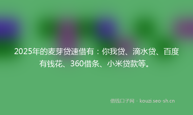 2025年的麦芽贷速借有：你我贷、滴水贷、百度有钱花、360借条、小米贷款等。