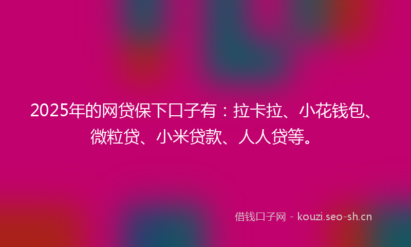 2025年的网贷保下口子有：拉卡拉、小花钱包、微粒贷、小米贷款、人人贷等。