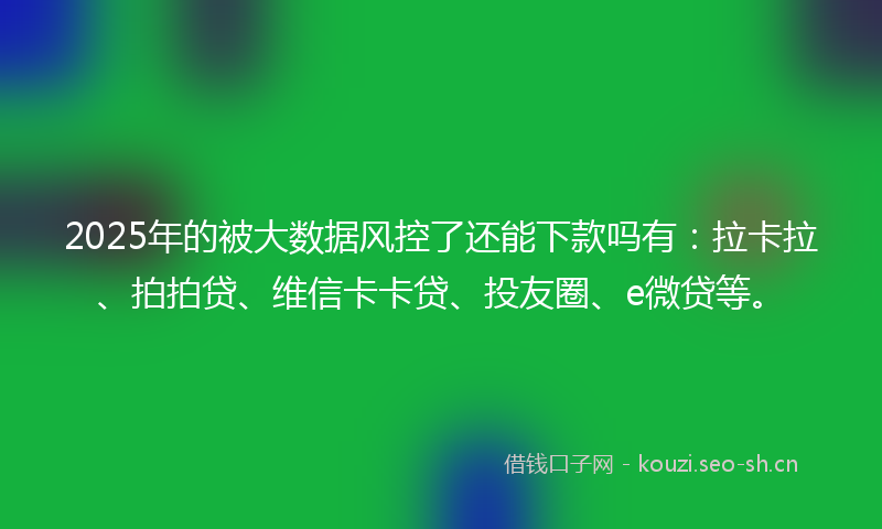 2025年的被大数据风控了还能下款吗有：拉卡拉、拍拍贷、维信卡卡贷、投友圈、e微贷等。