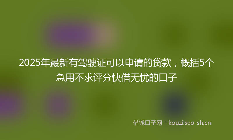 2025年最新有驾驶证可以申请的贷款，概括5个急用不求评分快借无忧的口子