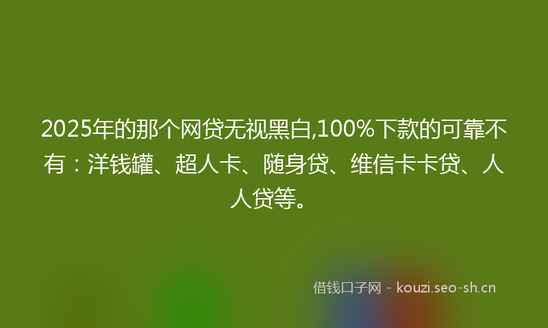 2025年的那个网贷无视黑白,100%下款的可靠不有：洋钱罐、超人卡、随身贷、维信卡卡贷、人人贷等。