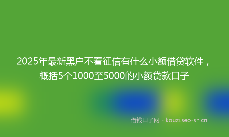 2025年最新黑户不看征信有什么小额借贷软件，概括5个1000至5000的小额贷款口子