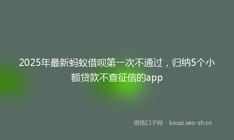 2025年最新蚂蚁借呗第一次不通过，归纳5个小额贷款不查征信的app