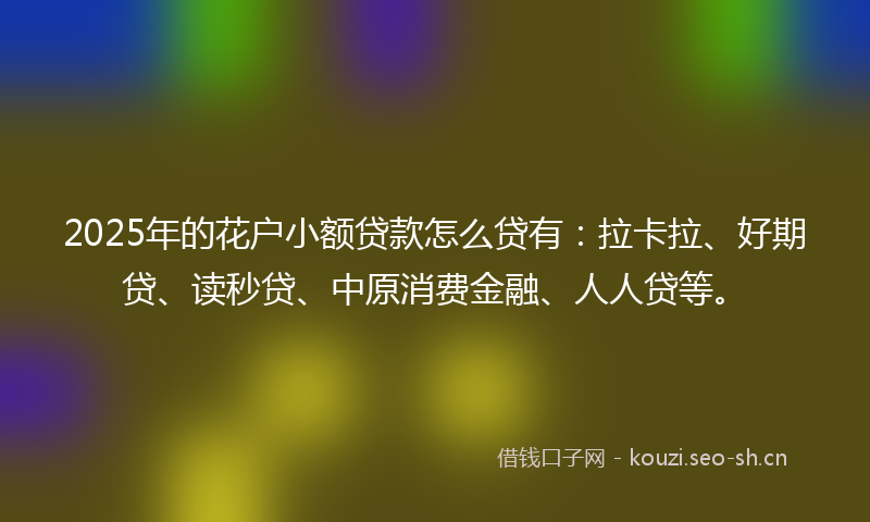 2025年的花户小额贷款怎么贷有：拉卡拉、好期贷、读秒贷、中原消费金融、人人贷等。
