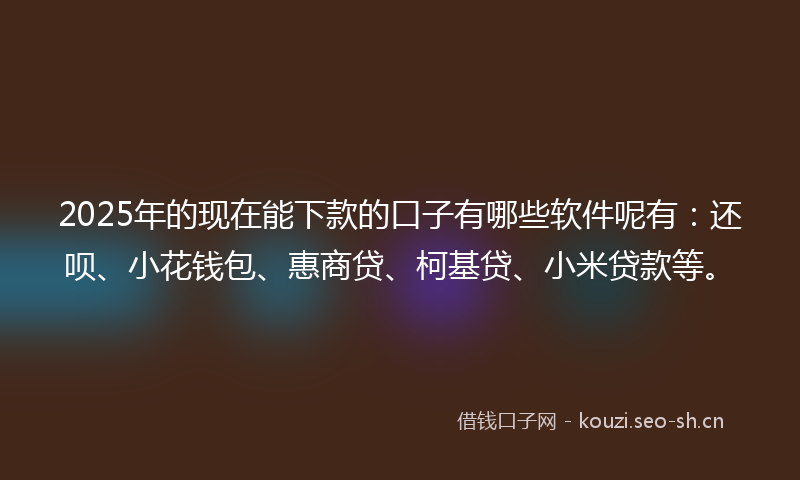 2025年的现在能下款的口子有哪些软件呢有：还呗、小花钱包、惠商贷、柯基贷、小米贷款等。