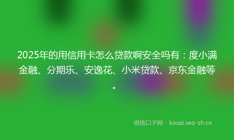 2025年的用信用卡怎么贷款啊安全吗有：度小满金融、分期乐、安逸花、小米贷款、京东金融等。