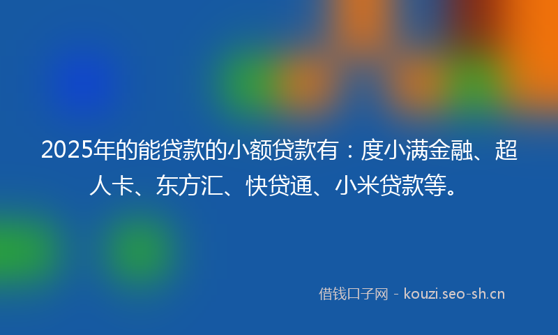 2025年的能贷款的小额贷款有：度小满金融、超人卡、东方汇、快贷通、小米贷款等。
