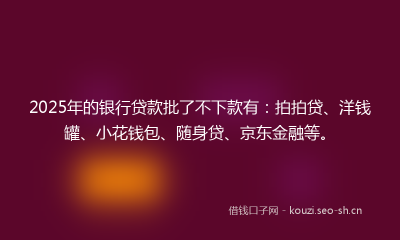 2025年的银行贷款批了不下款有：拍拍贷、洋钱罐、小花钱包、随身贷、京东金融等。