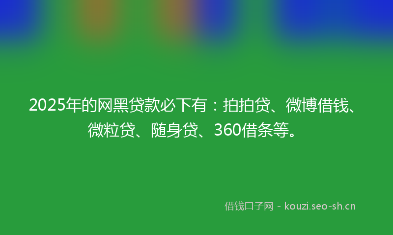 2025年的网黑贷款必下有：拍拍贷、微博借钱、微粒贷、随身贷、360借条等。