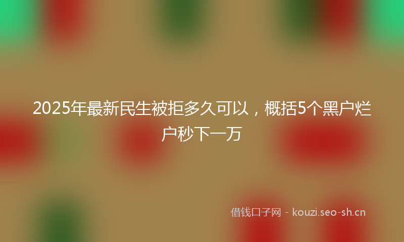 2025年最新民生被拒多久可以，概括5个黑户烂户秒下一万