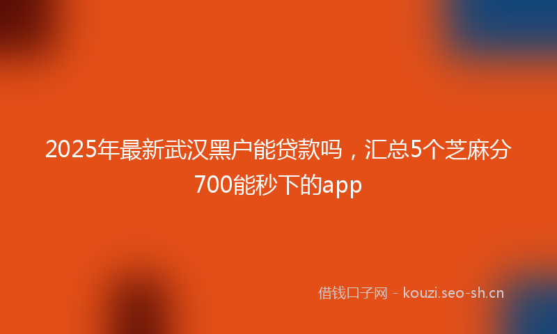 2025年最新武汉黑户能贷款吗，汇总5个芝麻分700能秒下的app