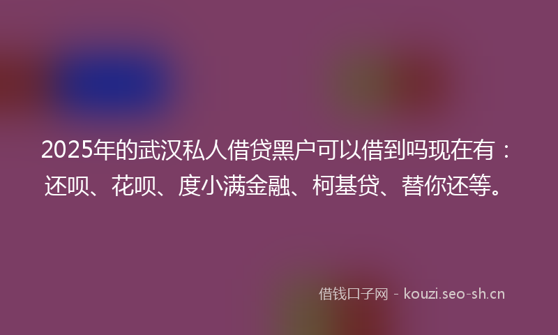 2025年的武汉私人借贷黑户可以借到吗现在有：还呗、花呗、度小满金融、柯基贷、替你还等。