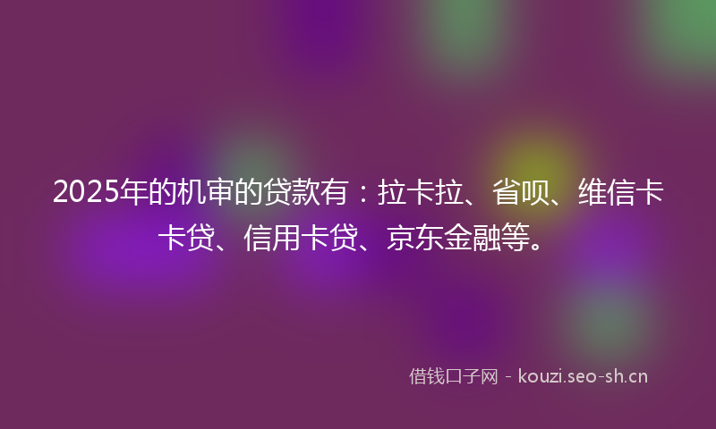 2025年的机审的贷款有：拉卡拉、省呗、维信卡卡贷、信用卡贷、京东金融等。