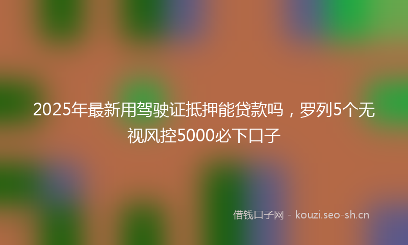 2025年最新用驾驶证抵押能贷款吗，罗列5个无视风控5000必下口子