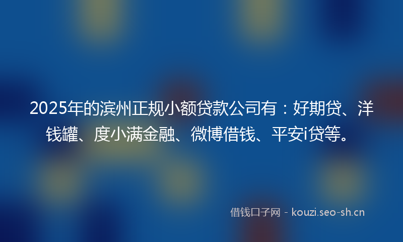 2025年的滨州正规小额贷款公司有：好期贷、洋钱罐、度小满金融、微博借钱、平安i贷等。