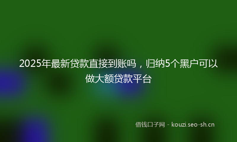 2025年最新贷款直接到账吗，归纳5个黑户可以做大额贷款平台