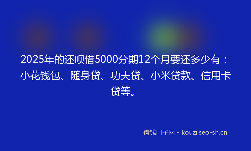2025年的还呗借5000分期12个月要还多少有：小花钱包、随身贷、功夫贷、小米贷款、信用卡贷等。