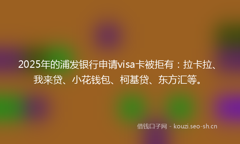 2025年的浦发银行申请visa卡被拒有：拉卡拉、我来贷、小花钱包、柯基贷、东方汇等。